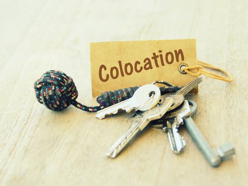 Découvrez cette étude sur la colocation de LocService La Coloc Angevine